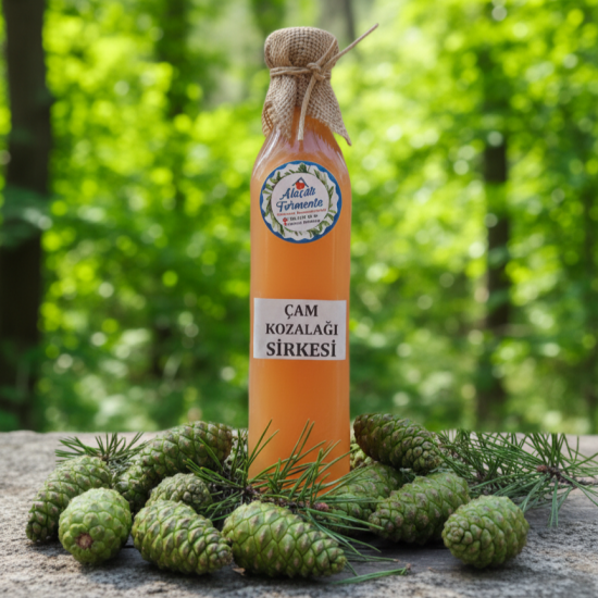 Çam Kozalağı Sirkesi