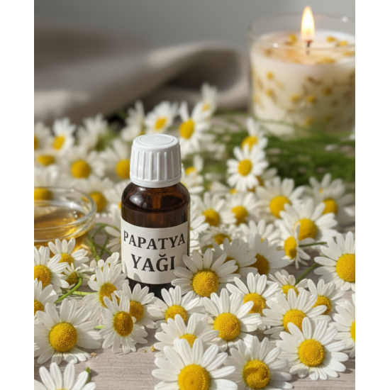 Papatya Yağı 50ml