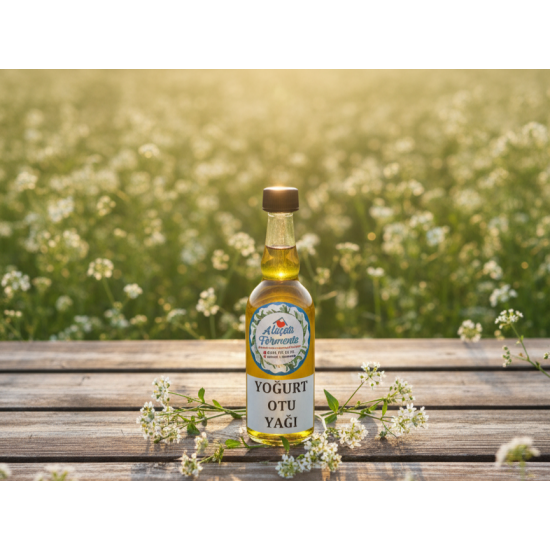 Yoğurt Otu Yağı 100ml