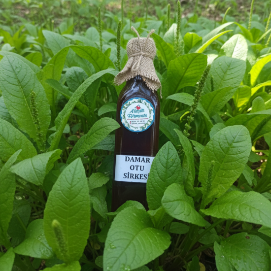 Damar Otu Sirkesi