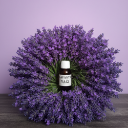 Lavanta Yağı 50 ml