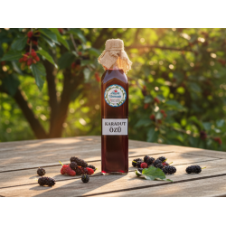 Karadut Özü 700ml