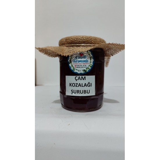 Çam Kozalağı Şurubu 850gr Çam Kozalağı Şurubu 850gr
