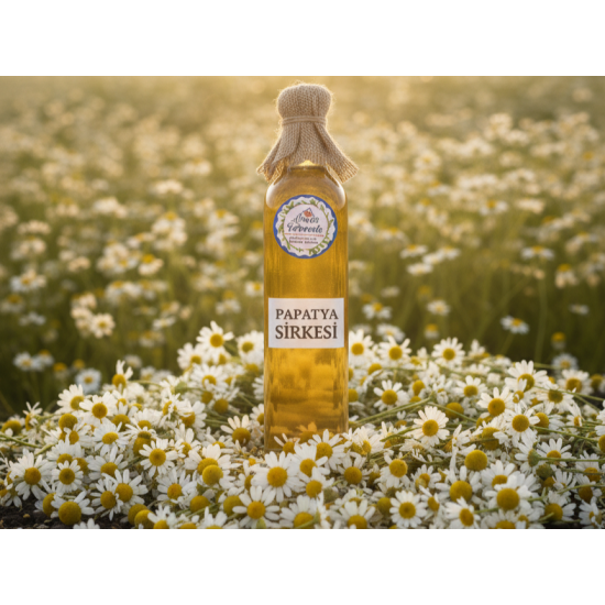 Papatya Sirkesi