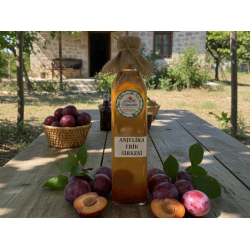 Anjelika Erik Sirkesi