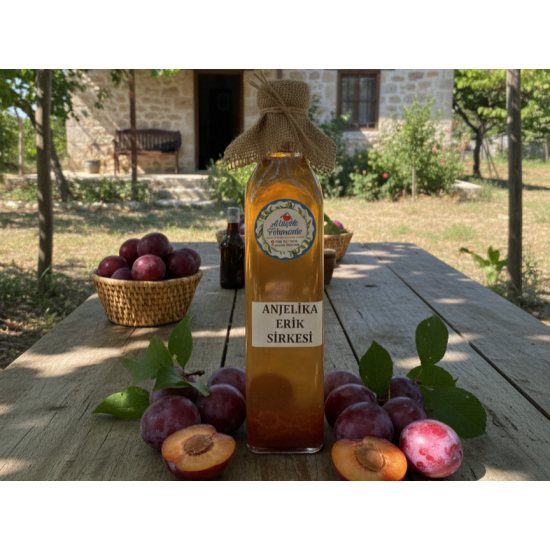 Anjelika Erik Sirkesi