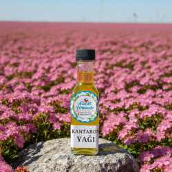 Kırmızı Kantaron Yağı 100ml