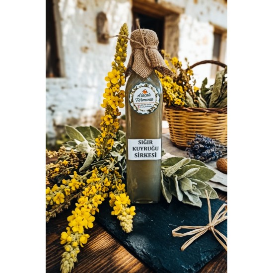 Sığır Kuyruğu Sirkesi