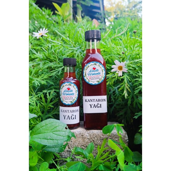 Kantaron Yağı 100ml Kantaron Yağı 100ml