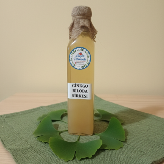 Ginkgo Biloba Sirkesi