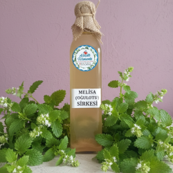 Melisa (Oğulotu) Sirkesi