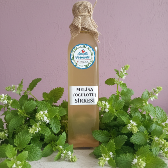 Melisa (Oğulotu) Sirkesi