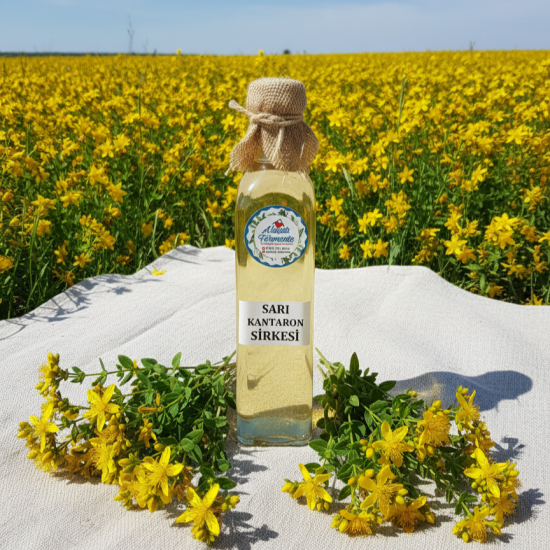 Sarı Kantaron Sirkesi