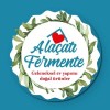 Alaçatı Fermente